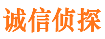 江山寻人公司